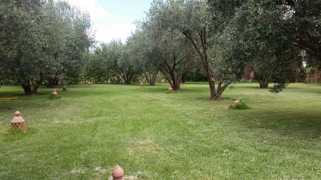 Riad Sidi Hicham Ouled Bouzid Exteriör bild