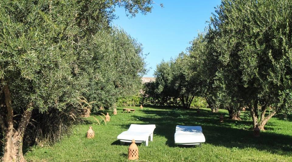 Riad Sidi Hicham Ouled Bouzid Exteriör bild