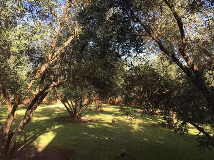 Riad Sidi Hicham Ouled Bouzid Exteriör bild